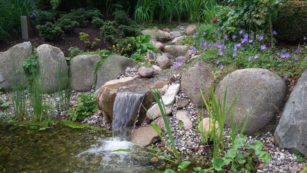 Wasser in Ihrem Garten